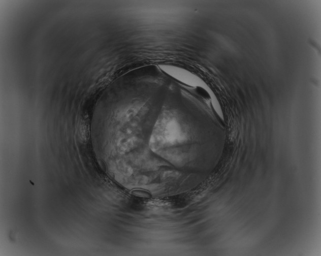 X0000093240515200710171444