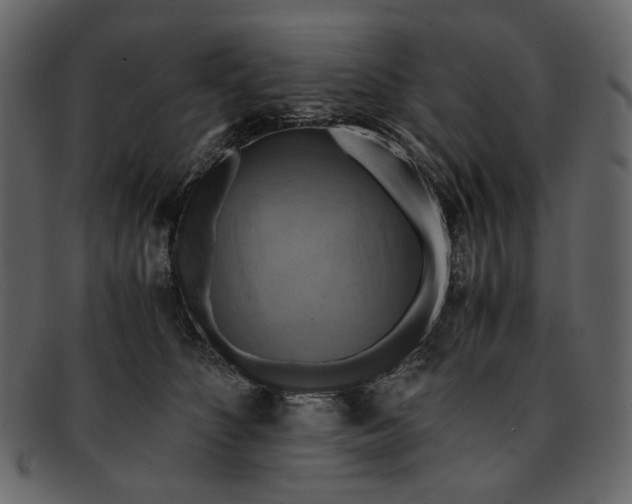 X0000093240516200710171444