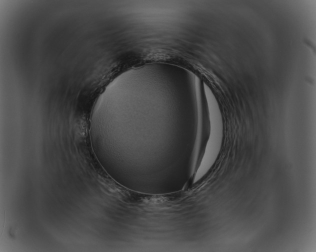 X0000093240517200710171444