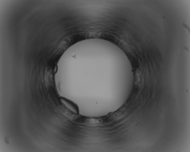 X0000093240522200710171444