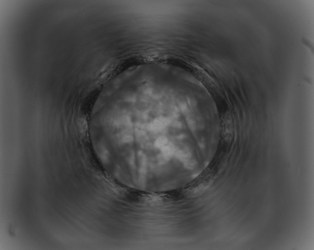 X0000093240523200710171443