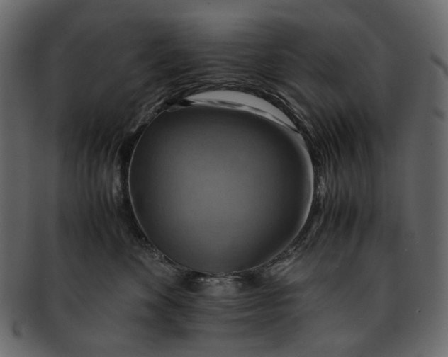 X0000093240524200710171443