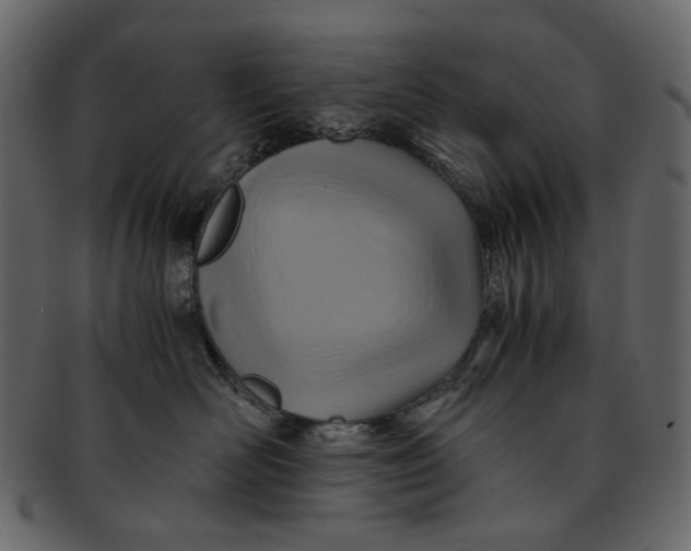 X0000093240526200710171443