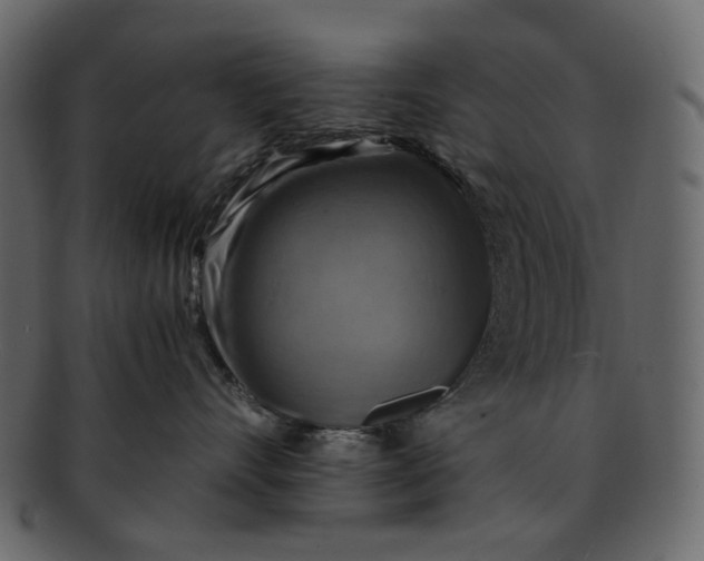 X0000093240528200710171443