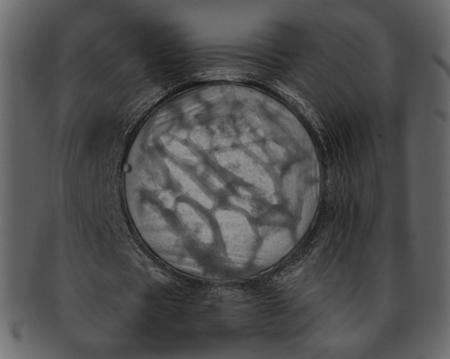 X0000093240529200710171443