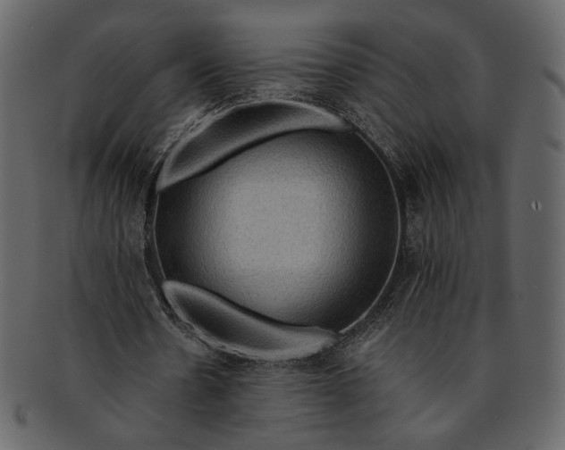 X0000093240530200710171443