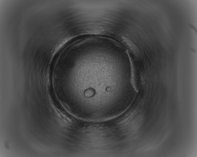 X0000093240532200710171443