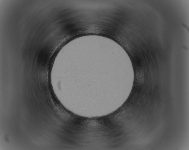 X0000093240534200710171443