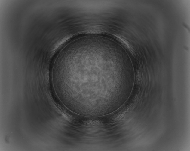 X0000093240535200710171443