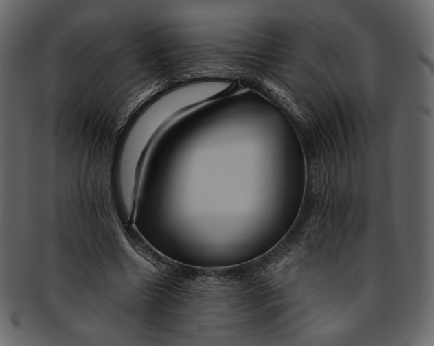 X0000093240538200710171443