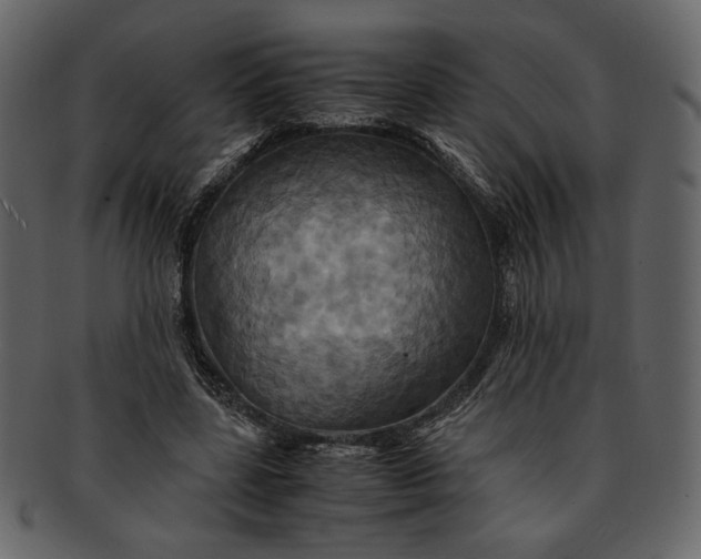 X0000093240539200710171443