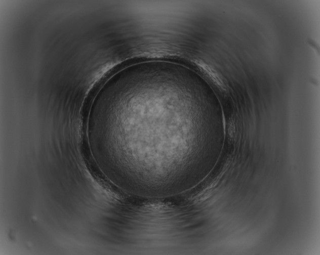 X0000093240540200710171443