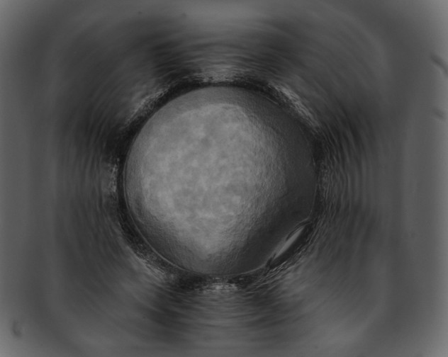 X0000093240543200710171443