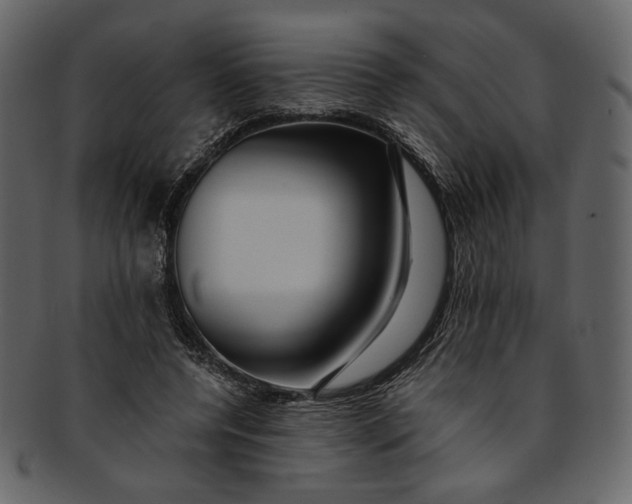 X0000093240544200710171443