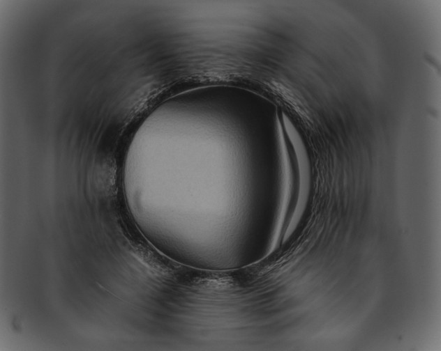 X0000093240548200710171443