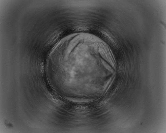 X0000093240549200710171443