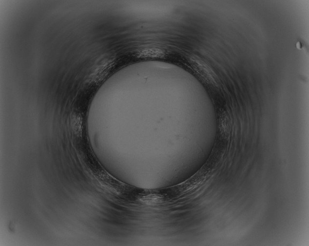 X0000093240551200710171443