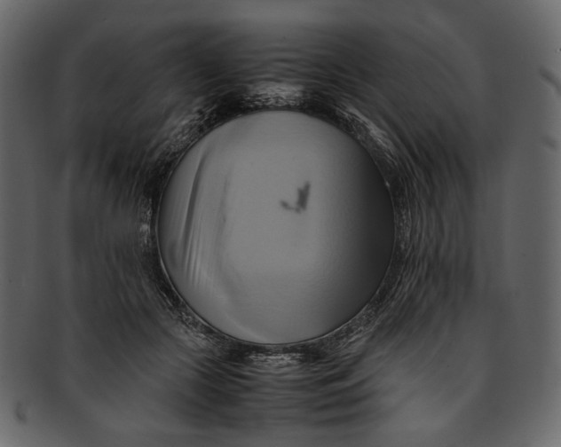 X0000093240553200710171443