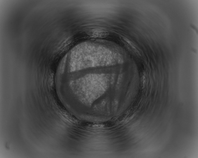 X0000093240554200710171443