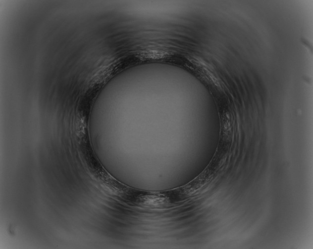 X0000093240555200710171443