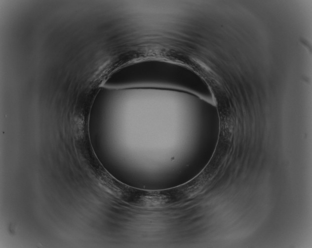 X0000093240556200710171443