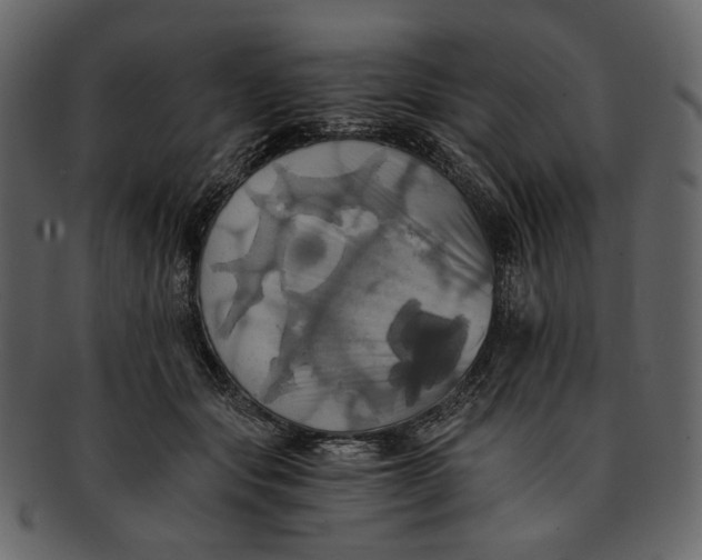 X0000093240557200710171443