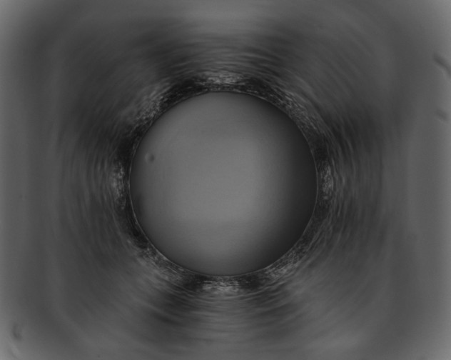 X0000093240559200710171443