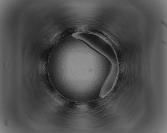 X0000093240560200710171443