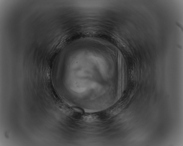 X0000093240561200710171443