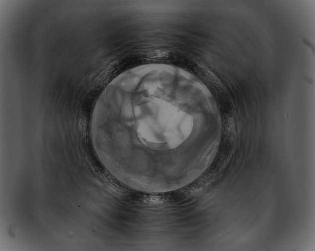 X0000093240565200710171443