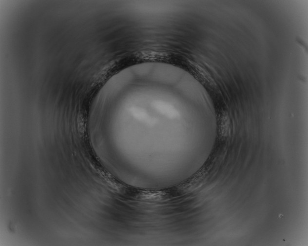 X0000093240569200710171443