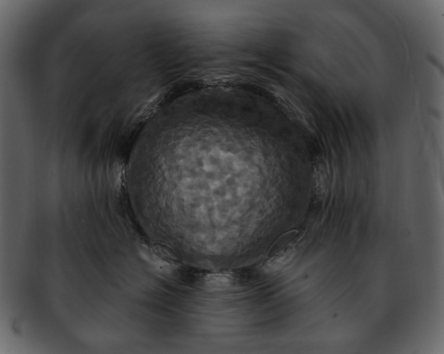 X0000093240574200710171443