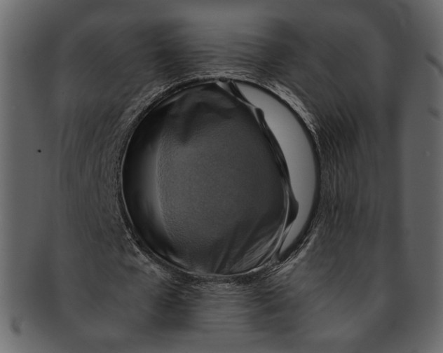 X0000093240577200710171443