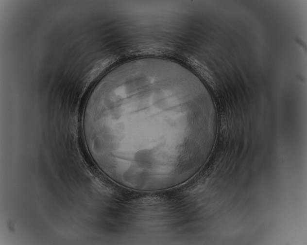 X0000093240578200710171443