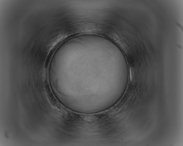 X0000093240579200710171443