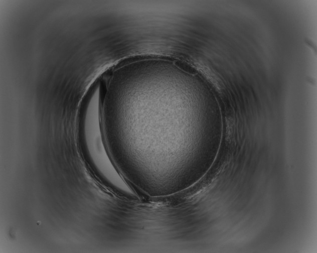 X0000093240580200710171443