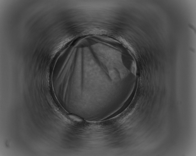 X0000093240581200710171443