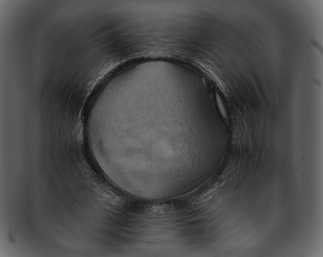 X0000093240584200710171443