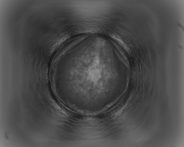 X0000093240585200710171443