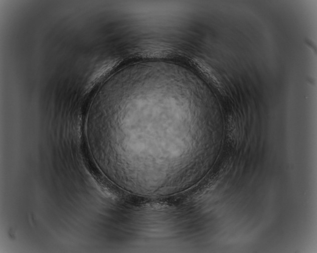 X0000093240586200710171443