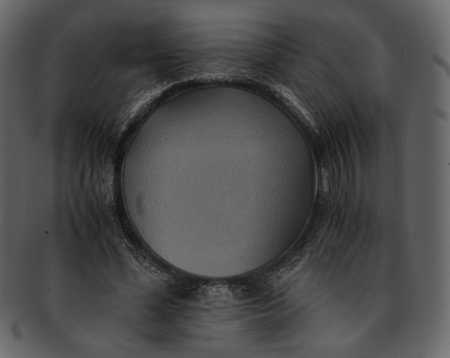 X0000093240588200710171443