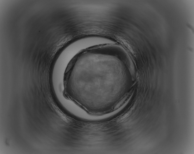 X0000093240589200710171443