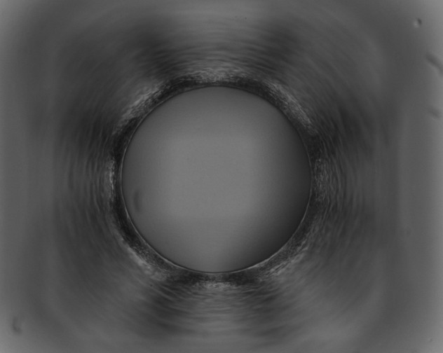 X0000093240590200710171443