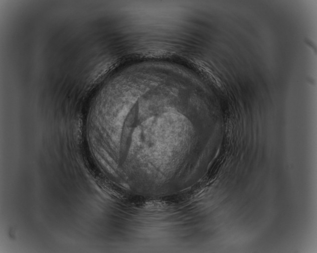 X0000093240591200710171443