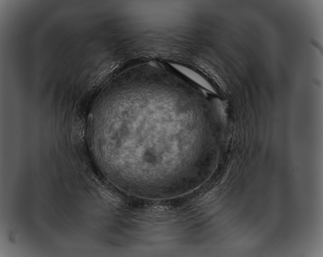 X0000093240593200710171443