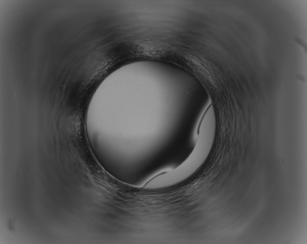 X0000093240595200710171443