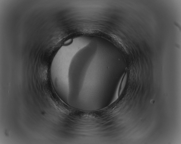 X0000093240596200710171442