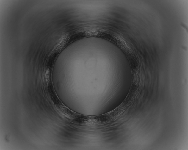 X0000093240598200710171442