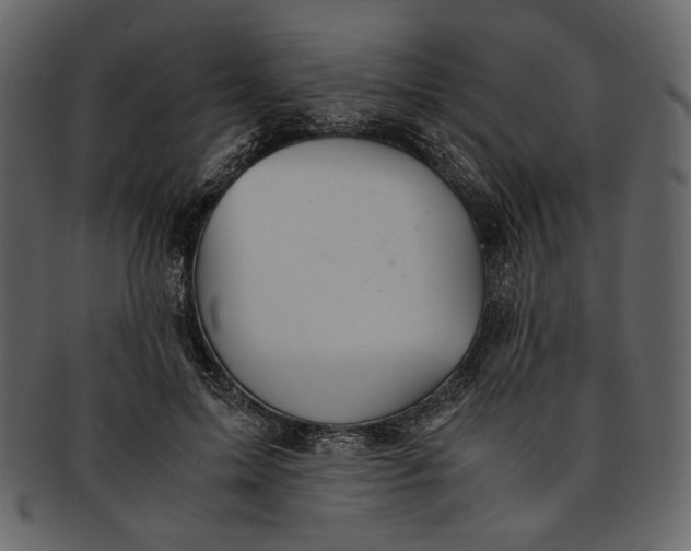 X0000093240599200710171442