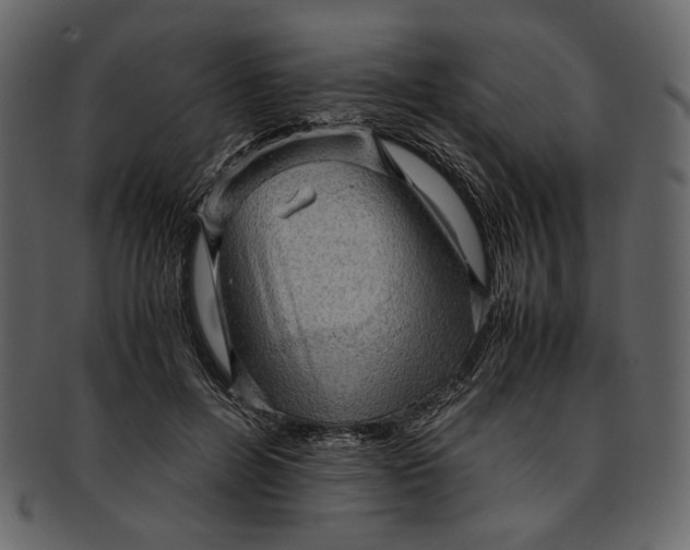 X0000093240600200710171442